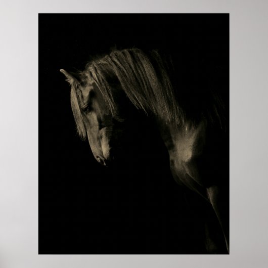 Sepia Black Horse Poster (Vorne)