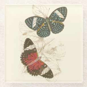 Sepia Blätter mit bunten Schmetterlingen Glasuntersetzer