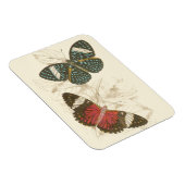 Sepia Blätter mit bunten Schmetterlingen Magnet (Rechte Seite)