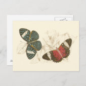 Sepia Blätter mit bunten Schmetterlingen Postkarte (Vorne/Hinten)