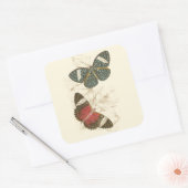 Sepia Blätter mit bunten Schmetterlingen Quadratischer Aufkleber (Umschlag)