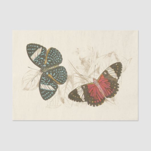 Sepia Blätter mit bunten Schmetterlingen Seidenpapier (Vorderseite)