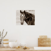 Sepia Brown Horse Poster (Küche)