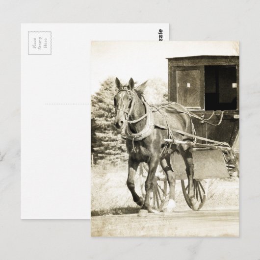 Sepia Buggy Postkarte (Vorne/Hinten)