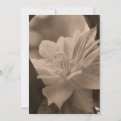 Sepia Clematis Blume Hochzeit speichern das Datum Einladung (Rückseite)