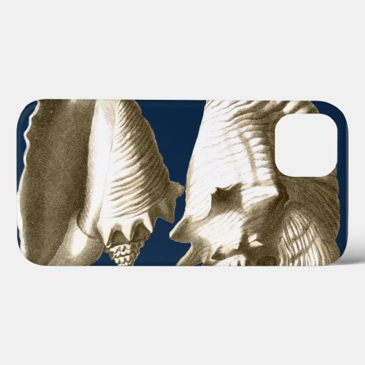 Sepia Conch Seashells Case-Mate iPhone Hülle (Rückseite (Horizontal))