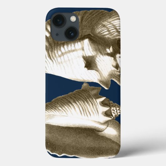 Sepia Conch Seashells Case-Mate iPhone Hülle (Rückseite)