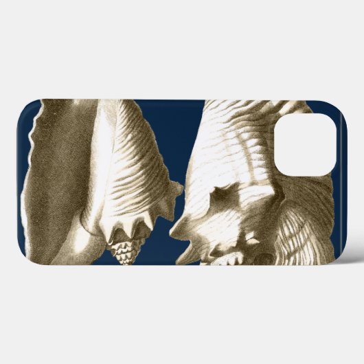 Sepia Conch Seashells Case-Mate iPhone Hülle (Rückseite (Horizontal))