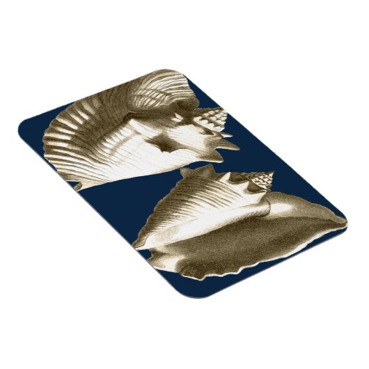 Sepia Conch Seashells Magnet (Rechte Seite)