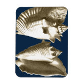 Sepia Conch Seashells Magnet (Vertikal)