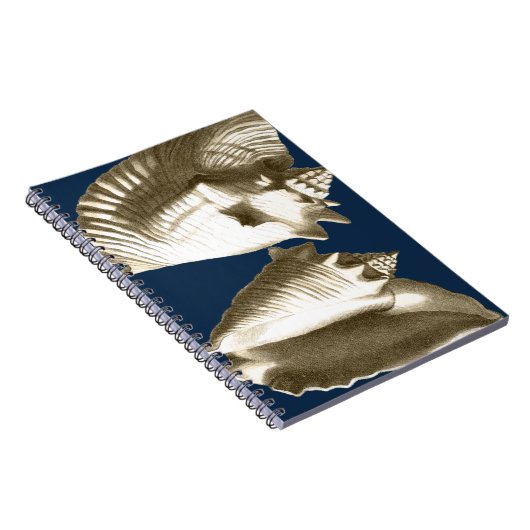 Sepia Conch Seashells Notizblock (Rechte Seite)