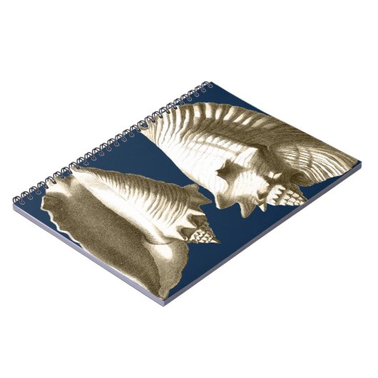 Sepia Conch Seashells Notizblock (Linke Seite)