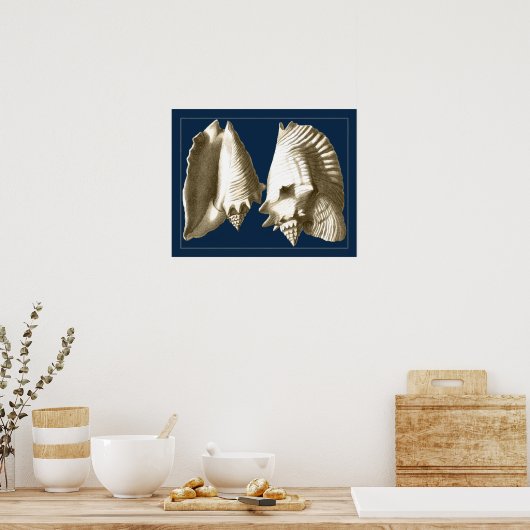 Sepia Conch Seashells Poster (Küche)