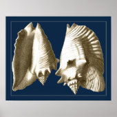 Sepia Conch Seashells Poster (Vorne)