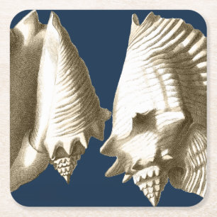 Sepia Conch Seashells Rechteckiger Pappuntersetzer