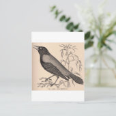 Sepia Crow Postkarte (Stehend Vorderseite)