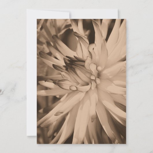 Sepia Dahlia Blume Hochzeit speichern das Datum Einladung (Rückseite)