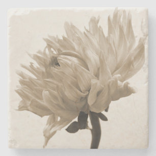 Sepia Dahlia Steinuntersetzer