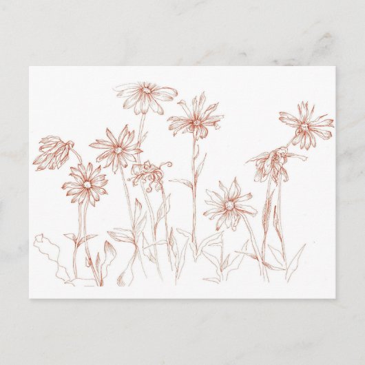 Sepia Daisies Pen und Tinte Blume Zeichnend Postkarte (Vorderseite)