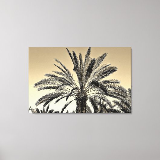 Sepia Date Trees Leinwanddruck (Vorderseite)