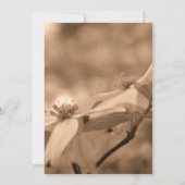 Sepia Dogwood Floral Wedding Einladung (Rückseite)