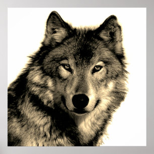 Sepia Einzigartiger Motivierend Wolf Poster