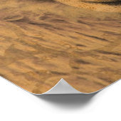 Sepia Ewe Poster (Ecke)