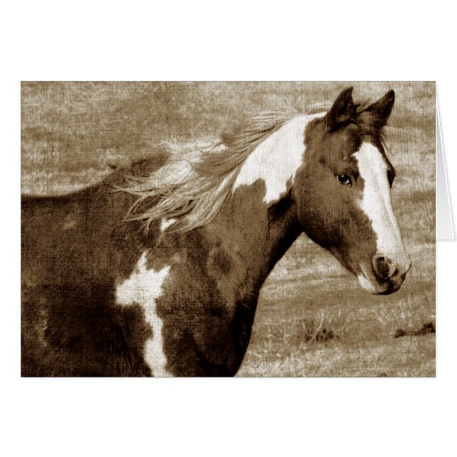 Sepia Flashy Mare (Vorderseite (Horizontal))