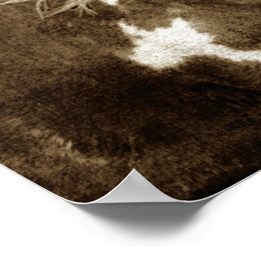 Sepia Flashy mit Zitat Poster (Ecke)