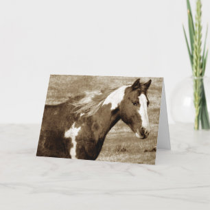 Sepia Flashy Stute, Geburtstag Karte
