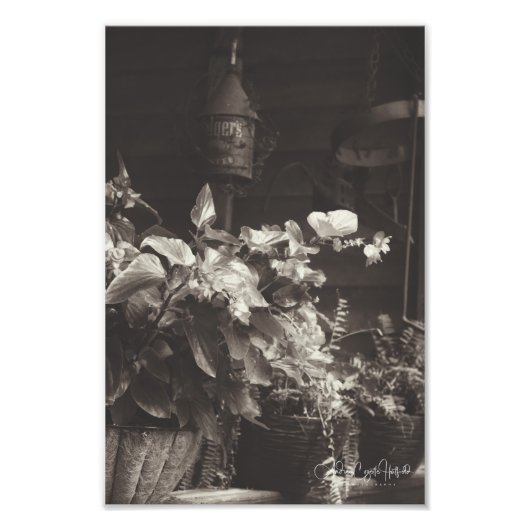 Sepia Floral Fotodruck (Vorne)