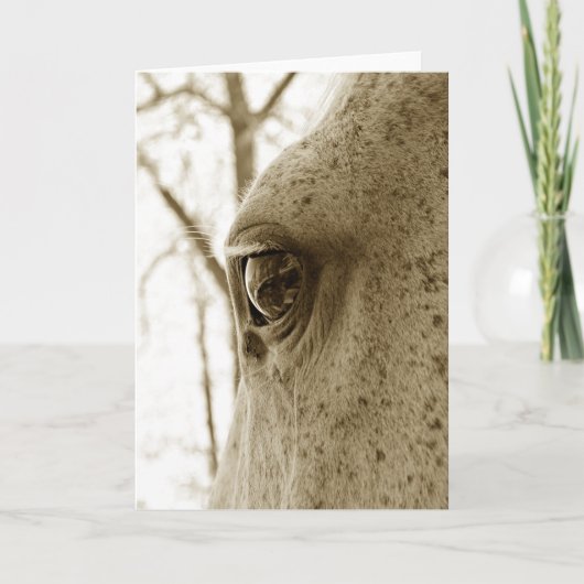 Sepia-Foto des entapplten grauen Horse Eye Karte (Vorderseite)