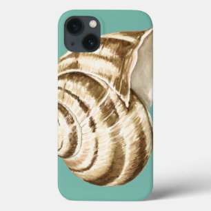 Sepia-gestreifte Muschel auf aquamarinem Case-Mate iPhone Hülle