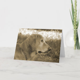 Sepia Golden Retriever Karte
