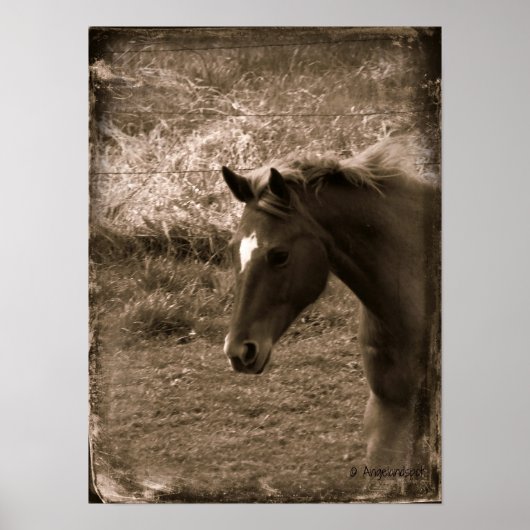 Sepia Grunge Horse Poster (Vorne)