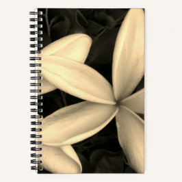 Sepia Hawaiian Blume Foto Spiral Notebook Notizblock