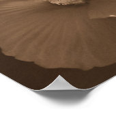 Sepia Hibiskus Blume Pair Poster (Ecke)