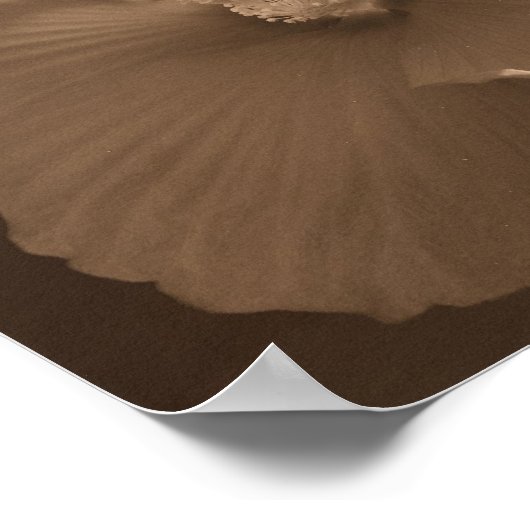 Sepia Hibiskus Blume Pair Poster (Ecke)