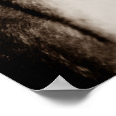 Sepia Horse Fotografy Artwork Poster (Ecke)