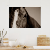 Sepia Horse Fotografy Artwork Poster (Küche)