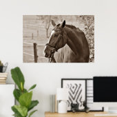 Sepia Horse - Tierfotografie Poster (Heimbüro)