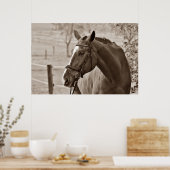 Sepia Horse - Tierfotografie Poster (Küche)