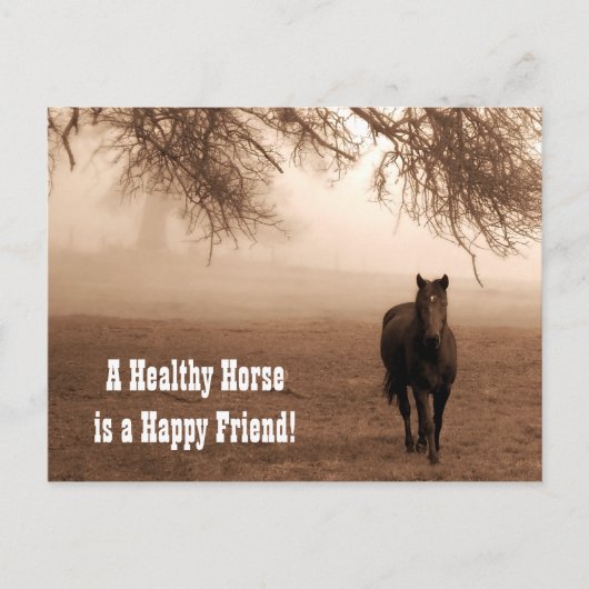 Sepia Horse with Oak Equine Veterinary Postcard Postkarte (Vorderseite)