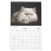 Sepia Kitty Cats für Haustiere über 12 Monate Kalender (Mär 2026)