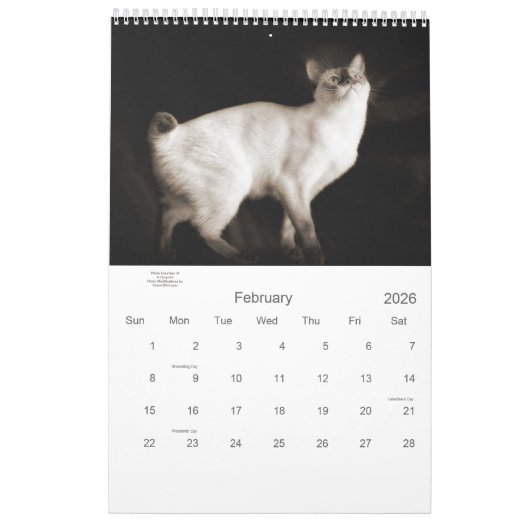 Sepia Kitty Cats für Haustiere über 12 Monate Kalender (Feb 2026)