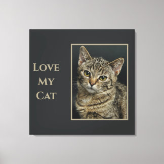 Sepia Liebe my Cat with Foto Leinwanddruck