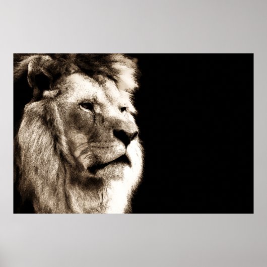 Sepia Lion Animal Fotografy Artwork Poster (Vorne)