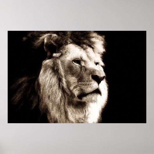 Sepia Lion Poster (Vorne)