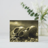 Sepia-Muscheln Postkarte (Stehend Vorderseite)
