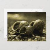 Sepia-Muscheln Postkarte (Vorne/Hinten)